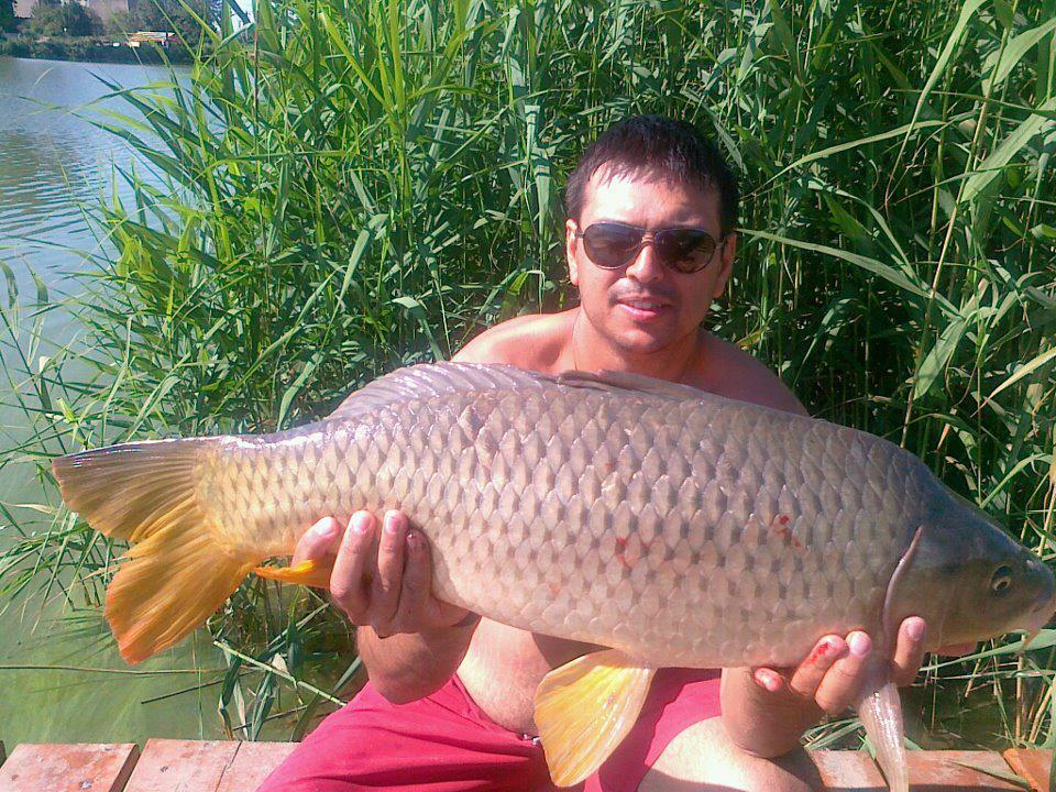 CONCURS LIKE-URI  - VOT PE FACEBOOK  - Dinu Florin
Lacul Pleasa
9 kg